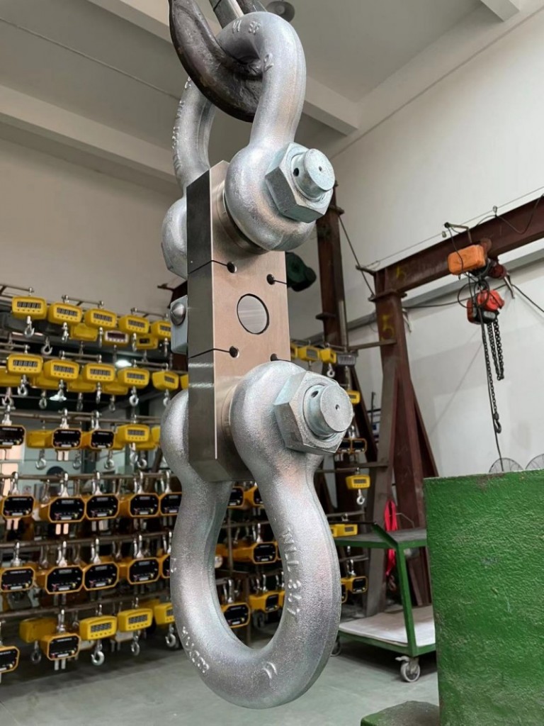 6t测力计品牌选择技巧